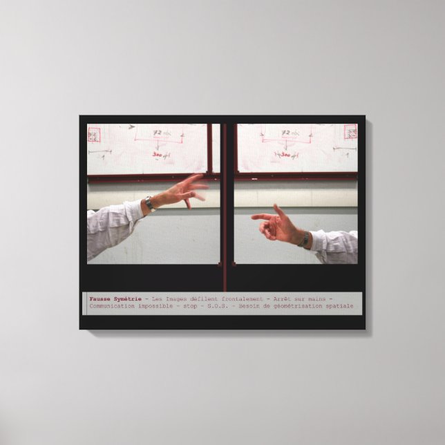 Lienzo Distorsión Simetría Fausse Symetrie Canvas (Anverso)