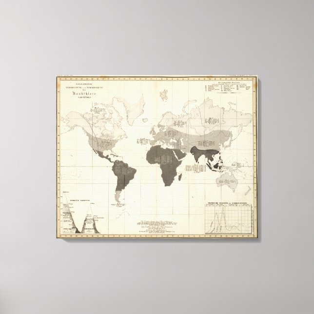 Lienzo Distribución geográfica de la vegetación (Anverso)