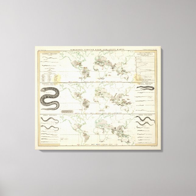 Lienzo Distribuciones de serpientes (Anverso)