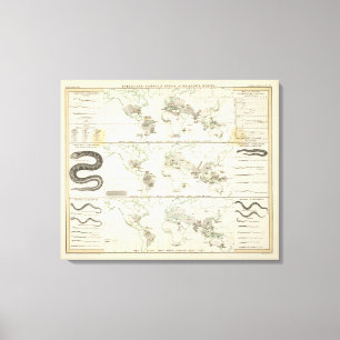 Lienzo Distribuciones de serpientes