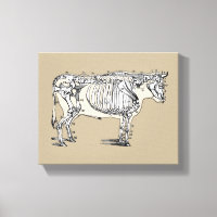Diversión de los huesos del esqueleto de la vaca a