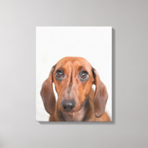 DIY Canvas Wall Art - Sube tu foto!