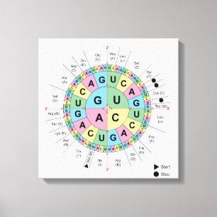 Lienzo DNA del código genético de la tabla de los
