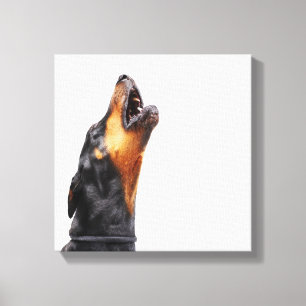 Lienzo Doberman que grita, primer