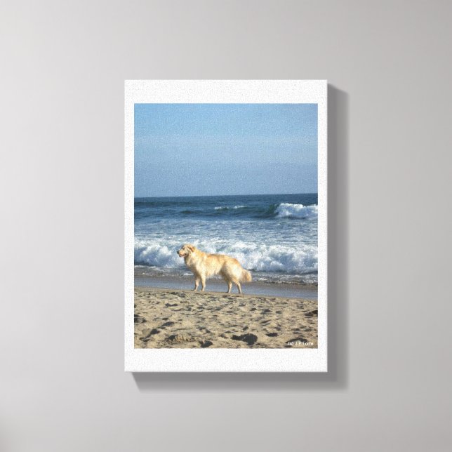 Lienzo Dog At The Beach (Anverso)