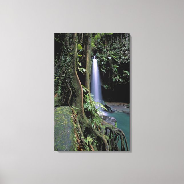 Lienzo Dominica, Estanque Esmeralda, Cascada. (Anverso)