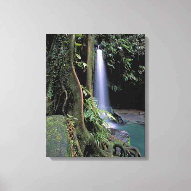 Lienzo Dominica, Estanque Esmeralda, Cascada. (Anverso)