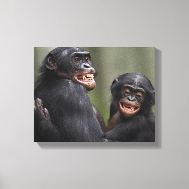 Lienzo Dos bonobos sonrientes (Anverso)