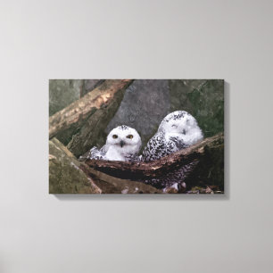 Lienzo Dos búhos