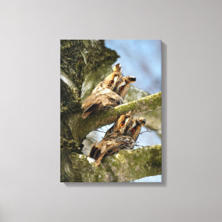 Lienzo Dos búhos en el bosque, aves, vida silvestre Lienz