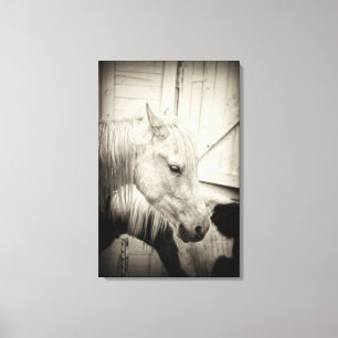 Lienzo dos caballos fuera de un establo blanco y negro