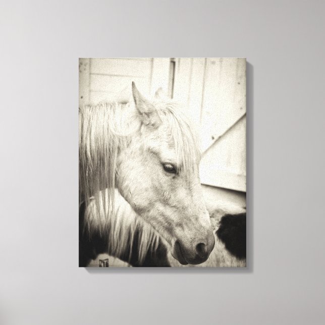 Lienzo dos caballos fuera de un establo - negro y blanco (Anverso)