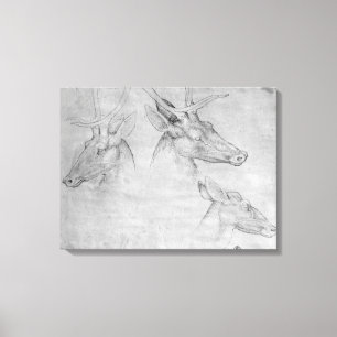 Lienzo Dos cabezas de los machos, una cabeza de una gama