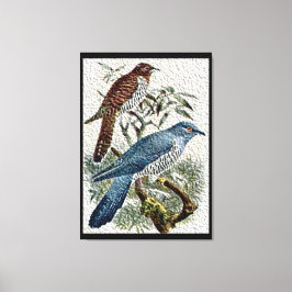 Lienzo Dos coloridas aves cucú en tela texturizada