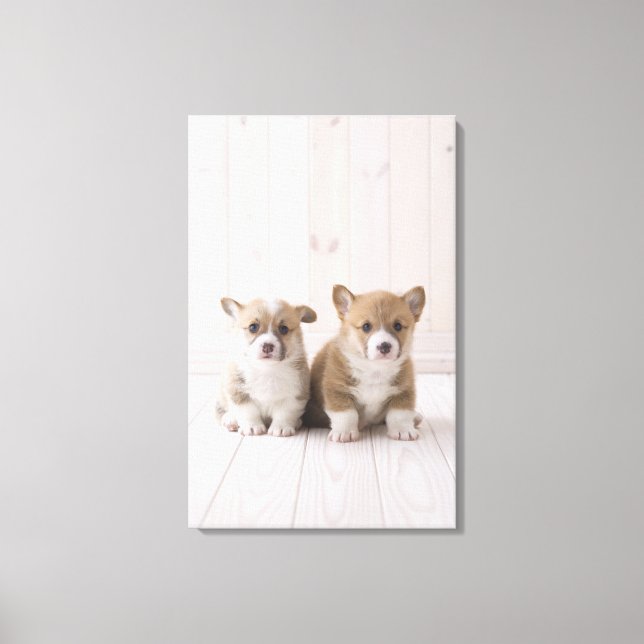 Lienzo Dos Corgi Gales Sentados (Anverso)