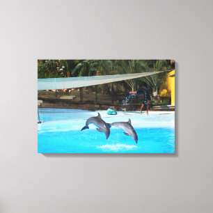 Lienzo Dos delfines animales