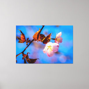 Lienzo Dos Flores De Sakura En Azul
