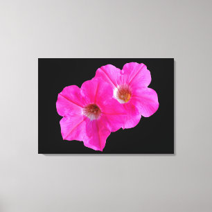 Lienzo dos flores rosas de fondo negro.