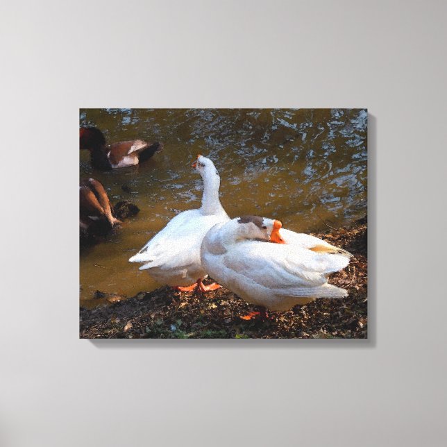 Lienzo dos gansos blancos y dos patos de mandarina (Anverso)