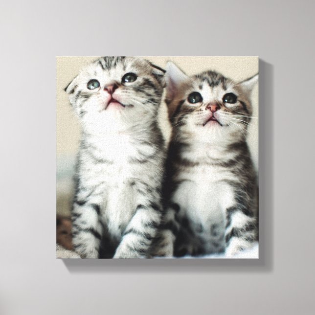 Lienzo Dos gatitos banales (Anverso)