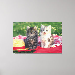 Lienzo Dos Gatitos Sentados En Una Cama De Colores Rojos