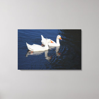 Lienzo Dos Geese Emden