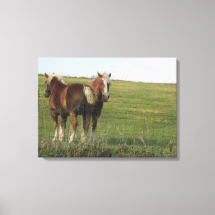 Lienzo Dos hermosos caballos ámbar junto a una foto de gr