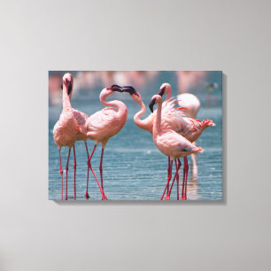 Lienzo Dos Hombres Menos Flamingos (Phoenicopterus Menor)