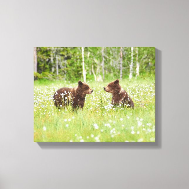 Lienzo Dos jóvenes osos morenos (Anverso)