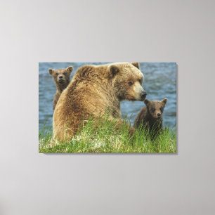 Lienzo Dos oseznos marrones con madre junto al agua