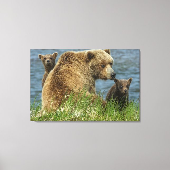 Lienzo Dos oseznos marrones con madre junto al agua (Anverso)