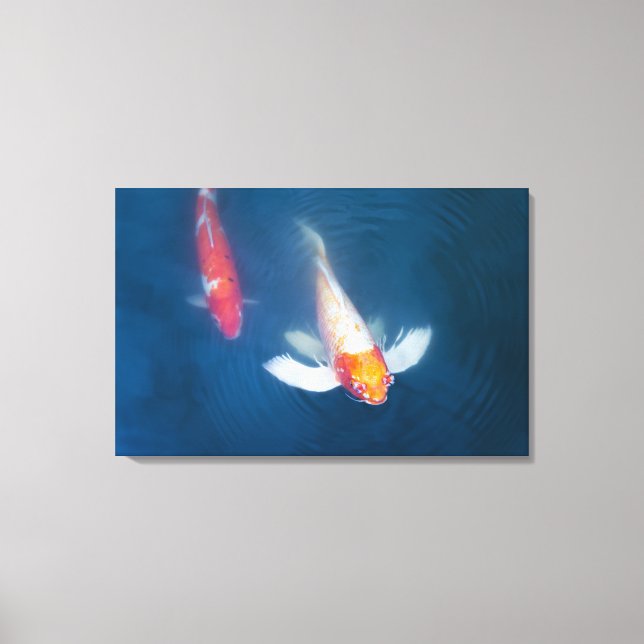 Lienzo Dos peces koi japoneses en un estanque (Anverso)