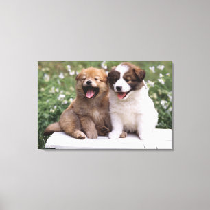 Lienzo Dos perritos que se sientan junto