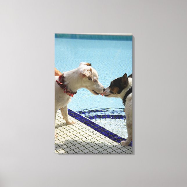 Lienzo Dos perros besándose en la piscina (Anverso)