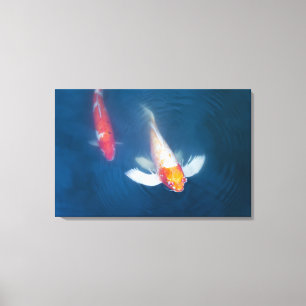Lienzo Dos pescados japoneses del koi en la charca