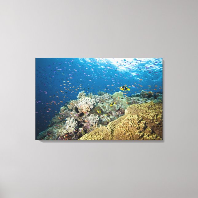 Lienzo Dos pináculos empezando en unos 25 metros de agua (Anverso)