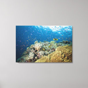 Lienzo Dos pináculos empezando en unos 25 metros de agua