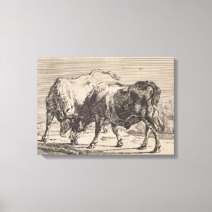 Lienzo Dos toros de lucha (por Paulus Potter)