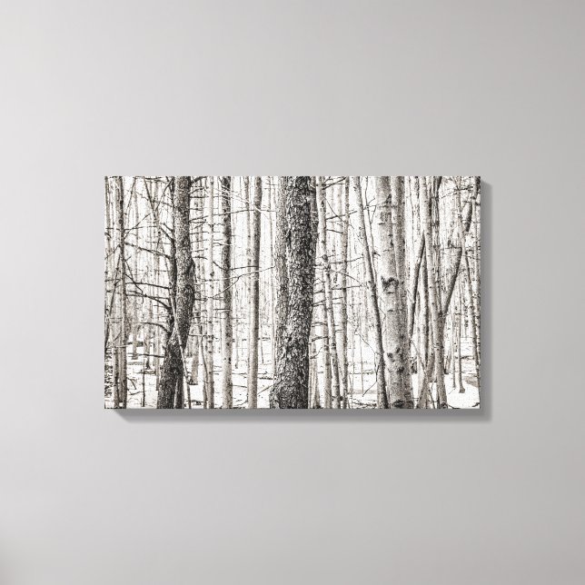 Lienzo Douglas Woods (Anverso)