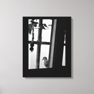 Lienzo Dove Daydream