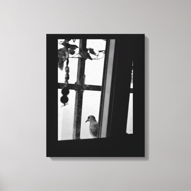 Lienzo Dove Daydream (Anverso)