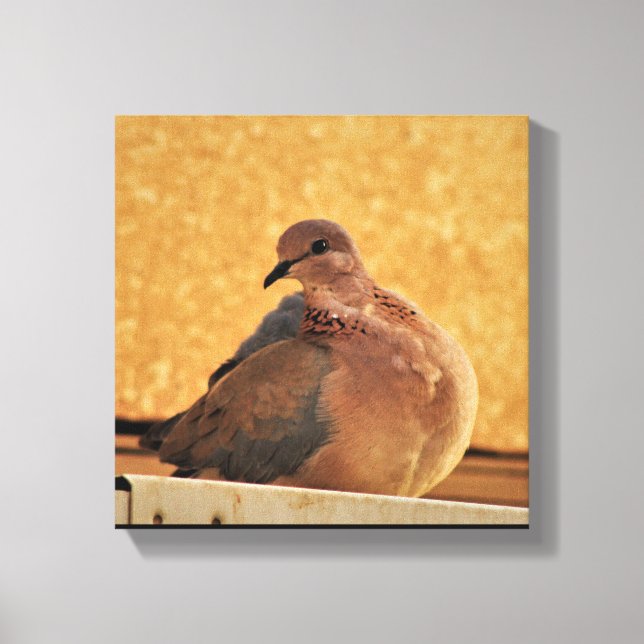 Lienzo Dove Elegance (Anverso)