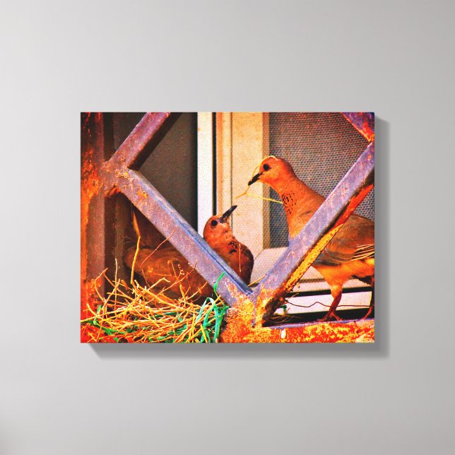 Lienzo Dove Romance (Anverso)