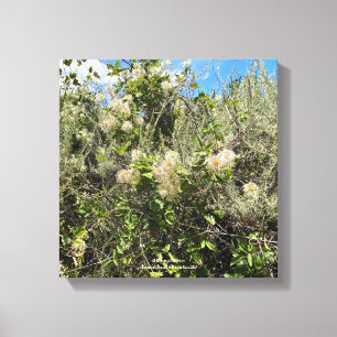 Lienzo Dr. Seuss Flowers