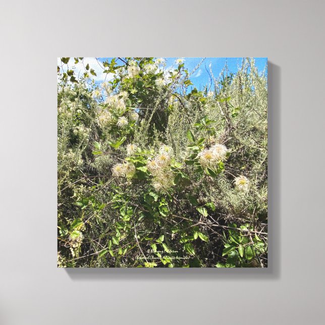 Lienzo Dr. Seuss Flowers (Anverso)