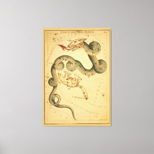 Lienzo Draco el Dragón - Gráfico estelar astronómico vint