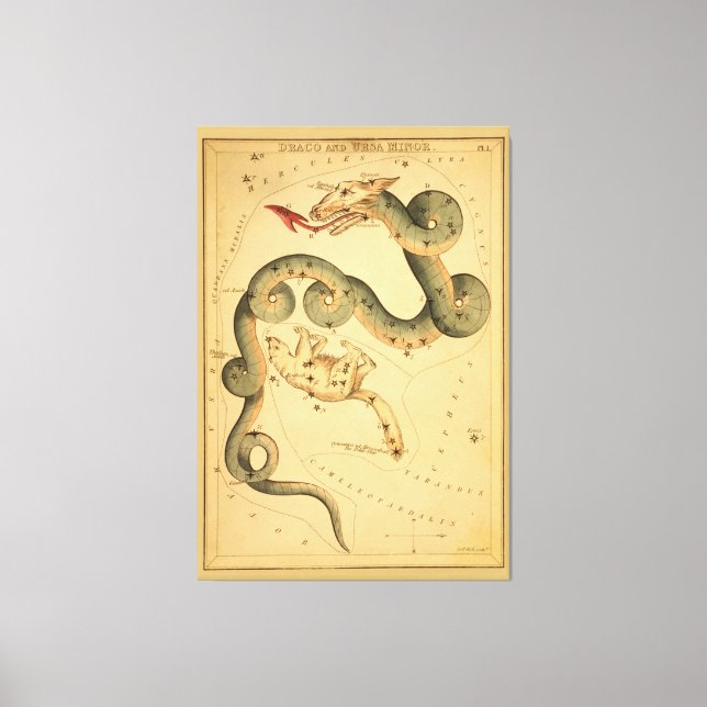 Lienzo Draco el Dragón - Gráfico estelar astronómico vint (Anverso)