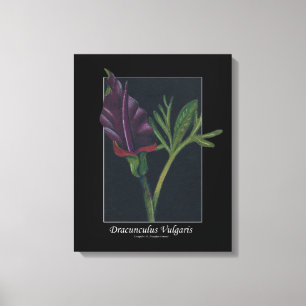 Lienzo Dracunculus Vulgaris flor primavera rojo verde neg