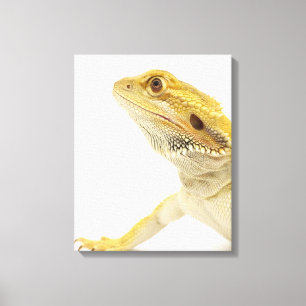 Lienzo Dragón barbudo (Pogona Vitticeps)
