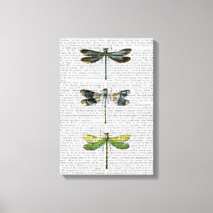 Lienzo Dragonflies Imprimir 3
